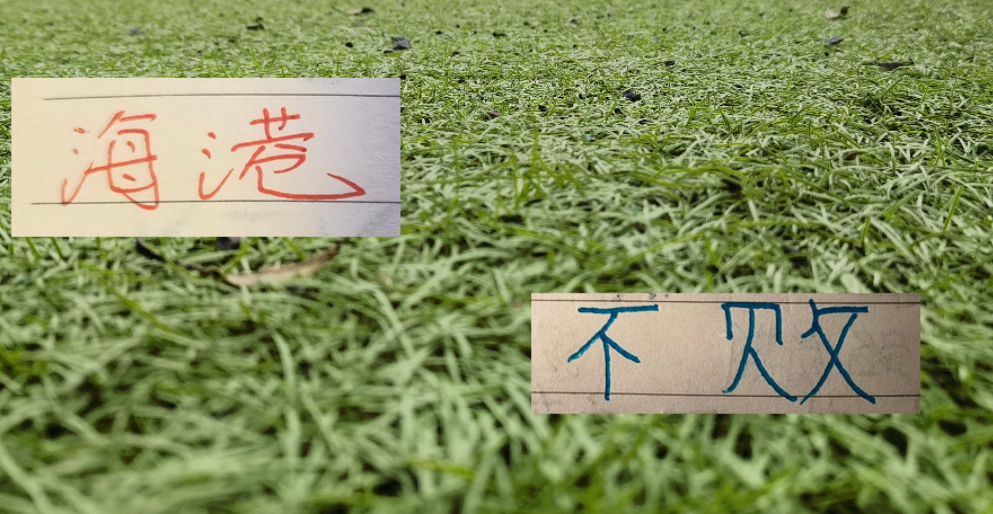 Ảnh